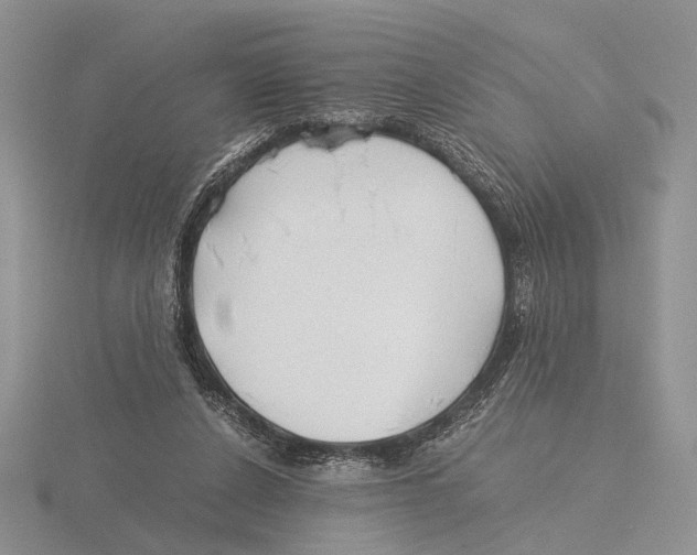 X0000115660256200912101057