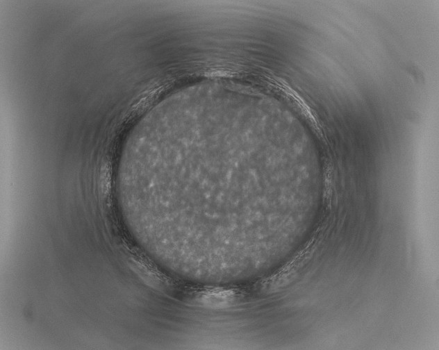 X0000115660257200912101057