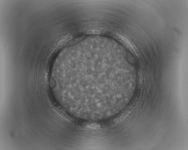 X0000115660258200912101057