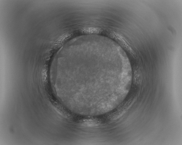 X0000115660259200912101057