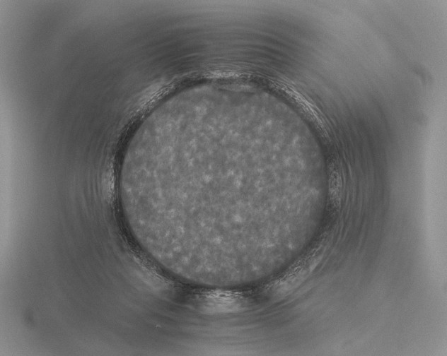 X0000115660261200912101057