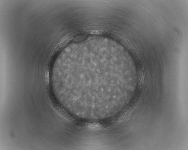 X0000115660262200912101057