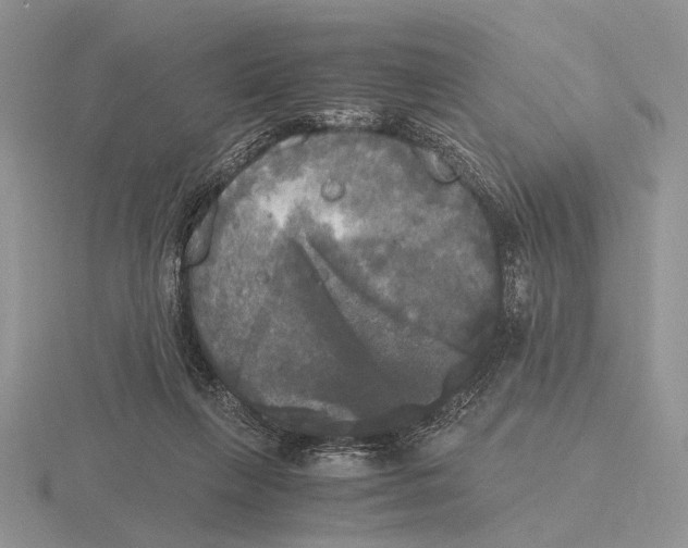 X0000115660263200912101057