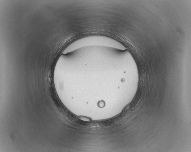 X0000115660264200912101057