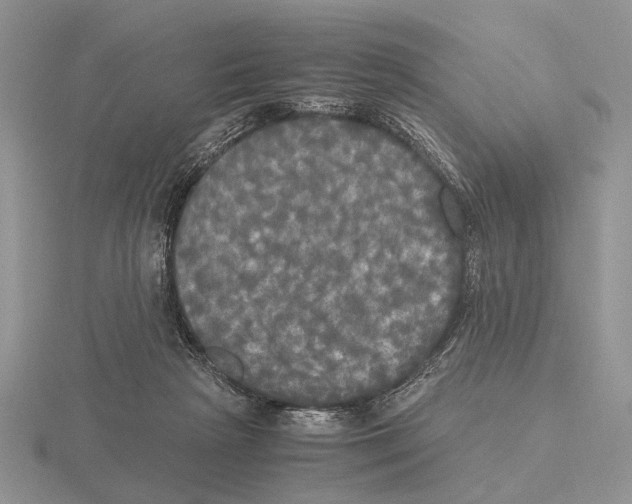 X0000115660265200912101057