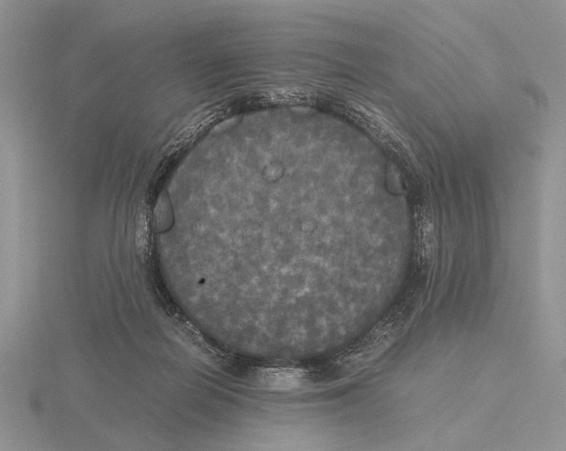 X0000115660266200912101057