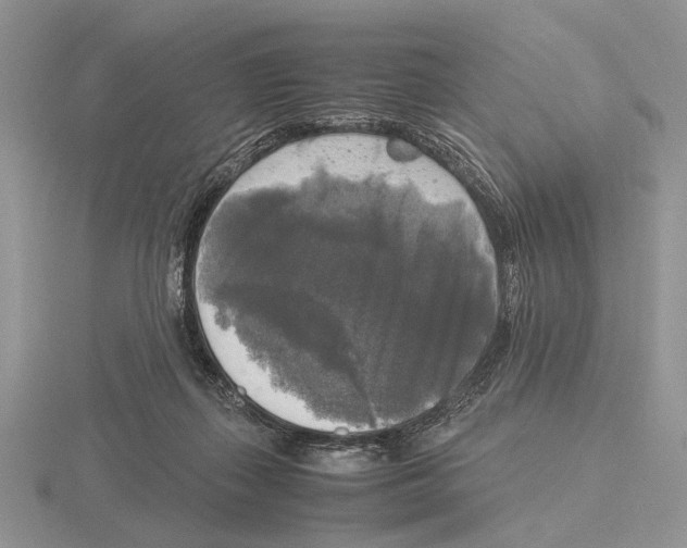 X0000115660267200912101057