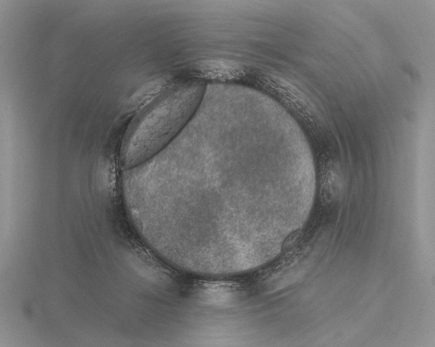 X0000115660268200912101057