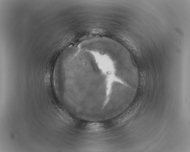 X0000115660269200912101057