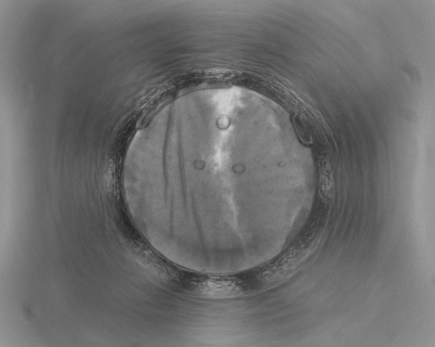 X0000115660270200912101057