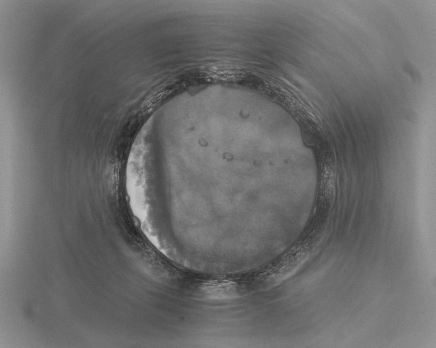 X0000115660271200912101057