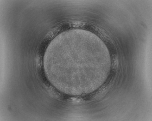 X0000115660272200912101057