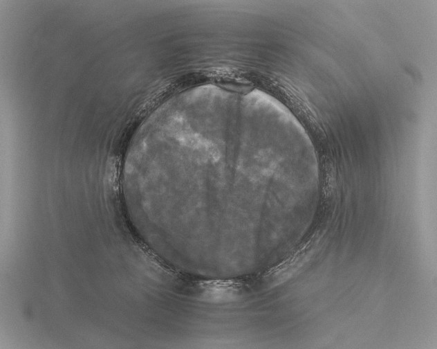 X0000115660273200912101057