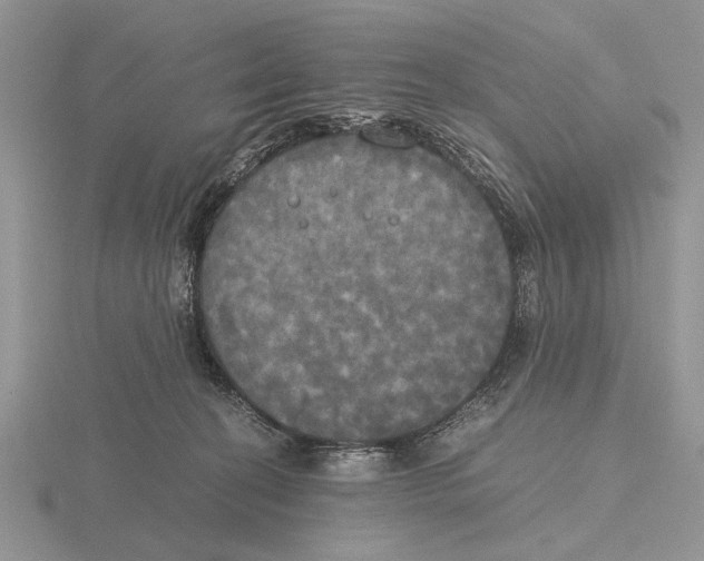 X0000115660274200912101057