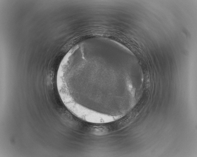 X0000115660275200912101057