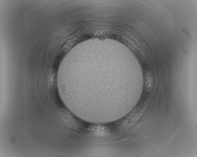 X0000115660276200912101057