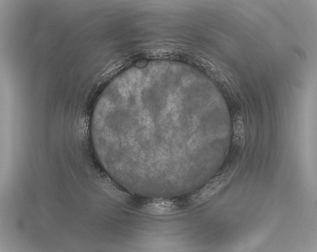 X0000115660278200912101058