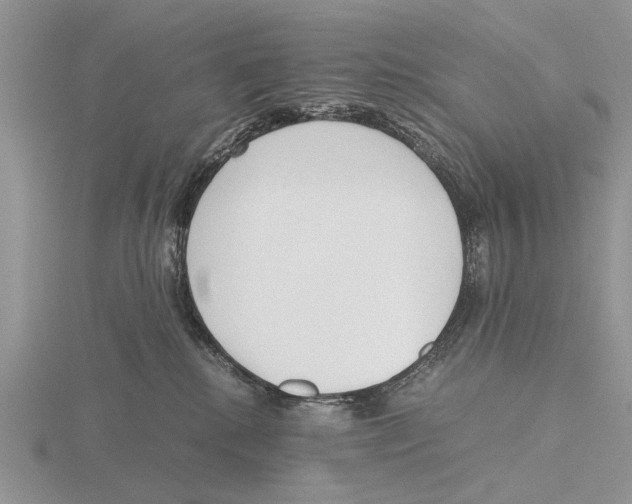 X0000115660280200912101058