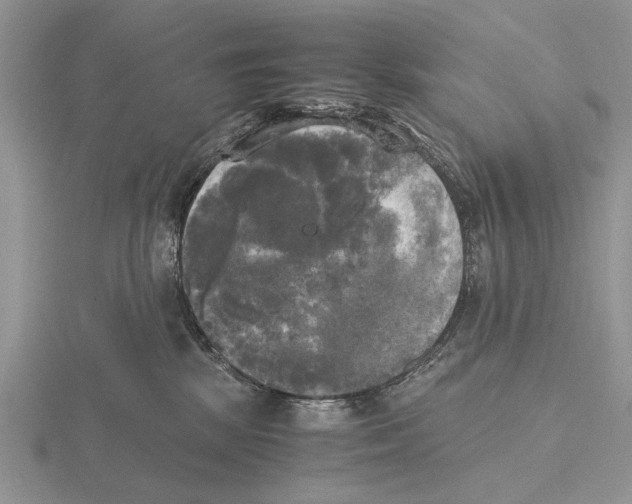 X0000115660281200912101058