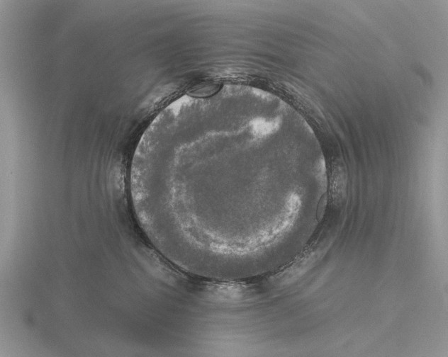 X0000115660282200912101058