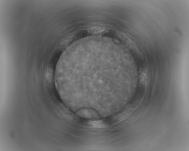 X0000115660283200912101058