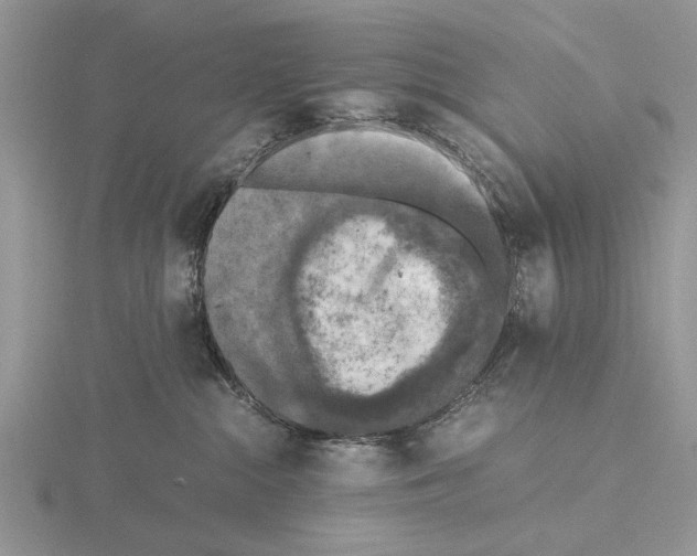 X0000115660284200912101058