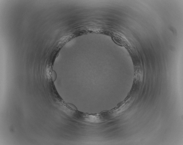 X0000115660285200912101058