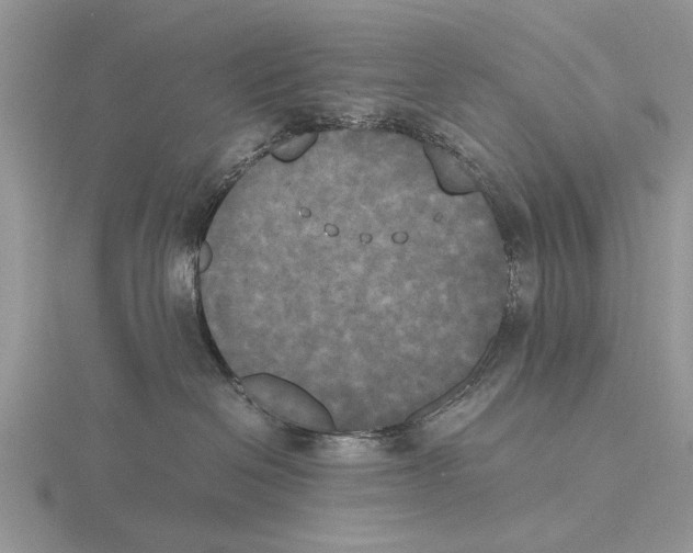 X0000115660286200912101058