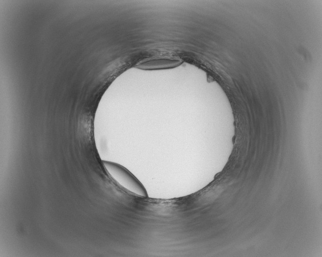 X0000115660288200912101058