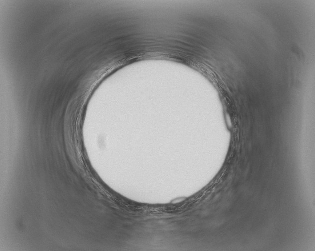 X0000115660289200912101057