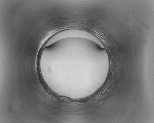 X0000115660292200912101057