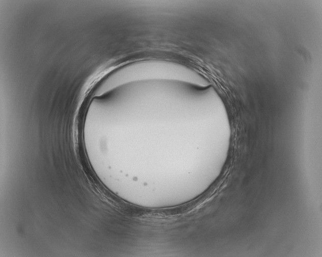 X0000115660294200912101057