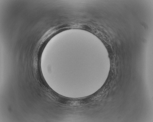 X0000115660295200912101057