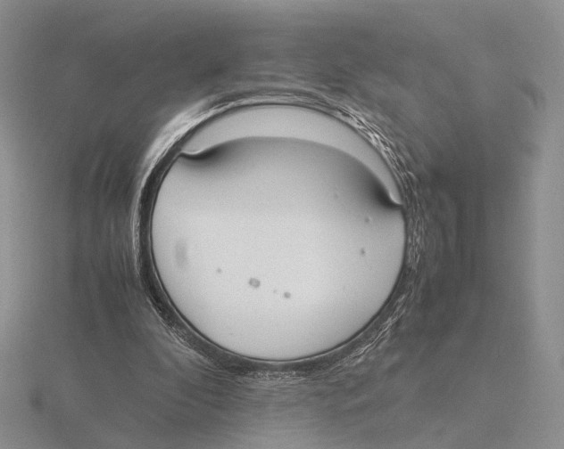 X0000115660296200912101057