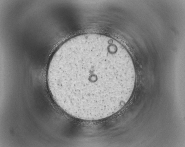 X0000115660297200912101057