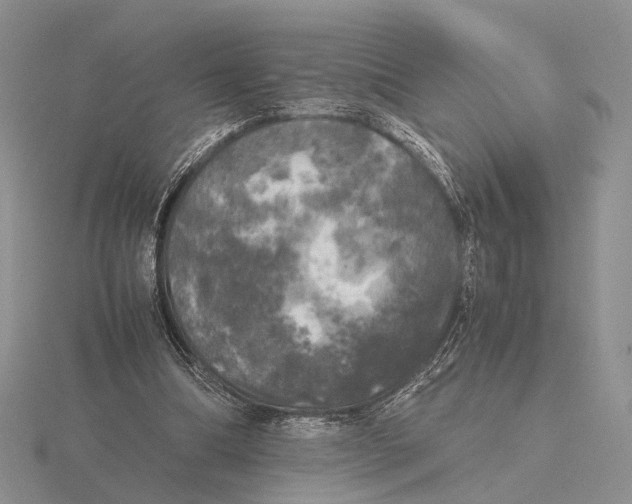 X0000115660298200912101057