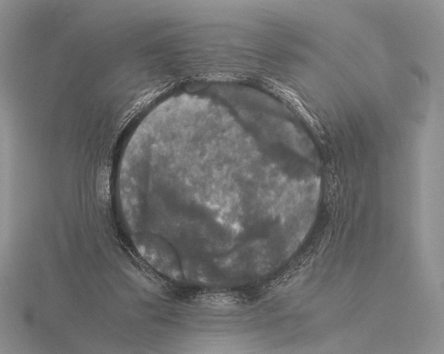 X0000115660299200912101057