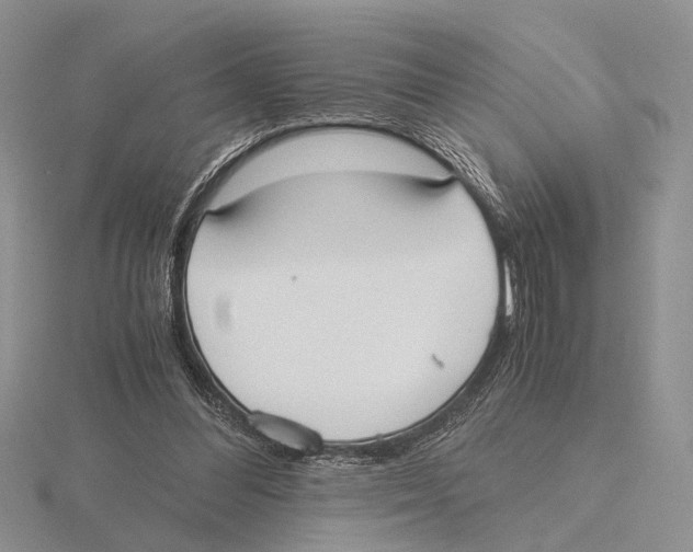 X0000115660300200912101057