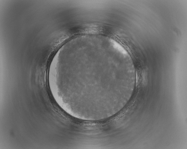 X0000115660301200912101057