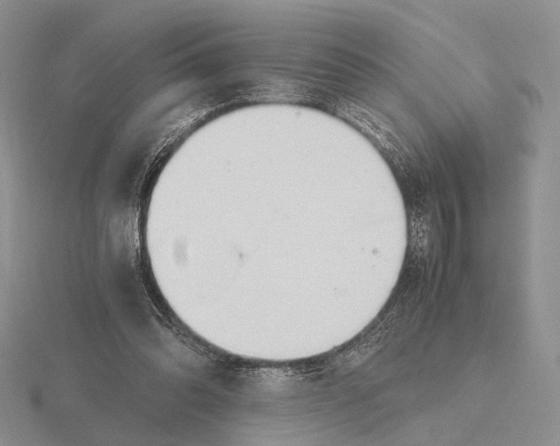 X0000115660302200912101057