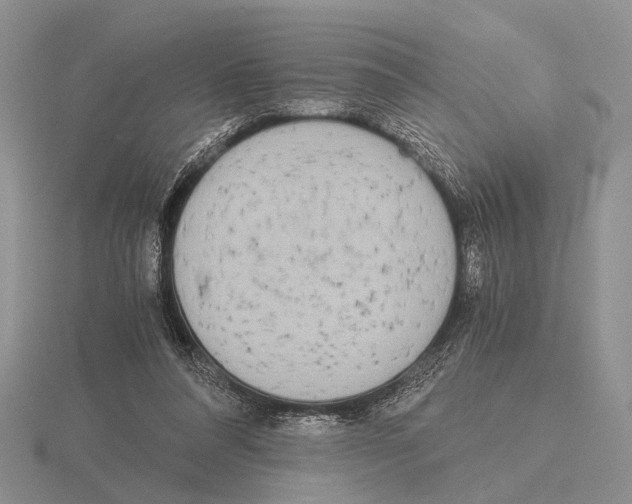 X0000115660304200912101057