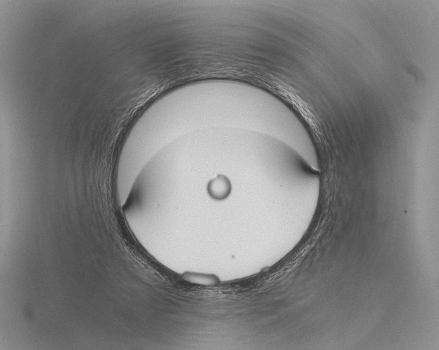 X0000115660305200912101057