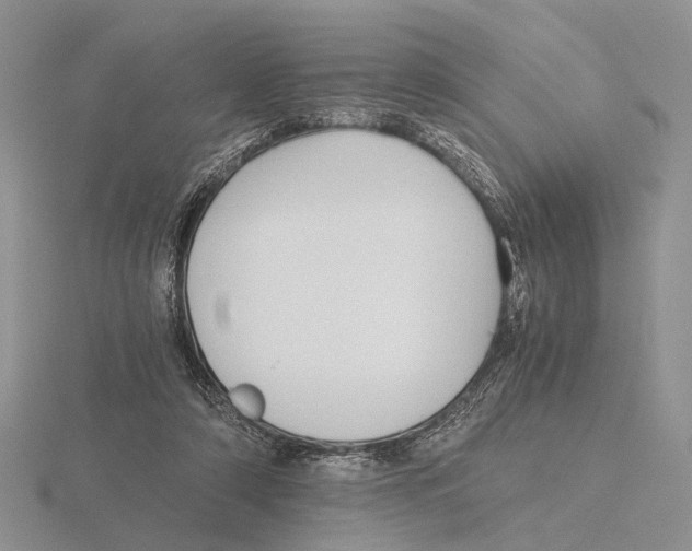 X0000115660306200912101057