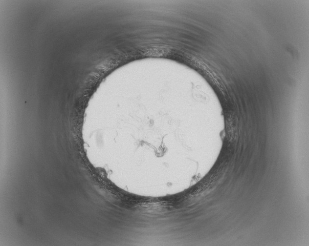 X0000115660307200912101057