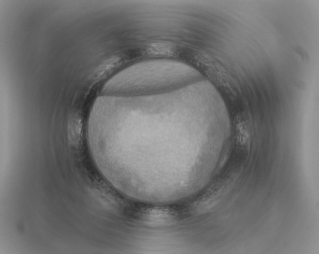 X0000115660308200912101057