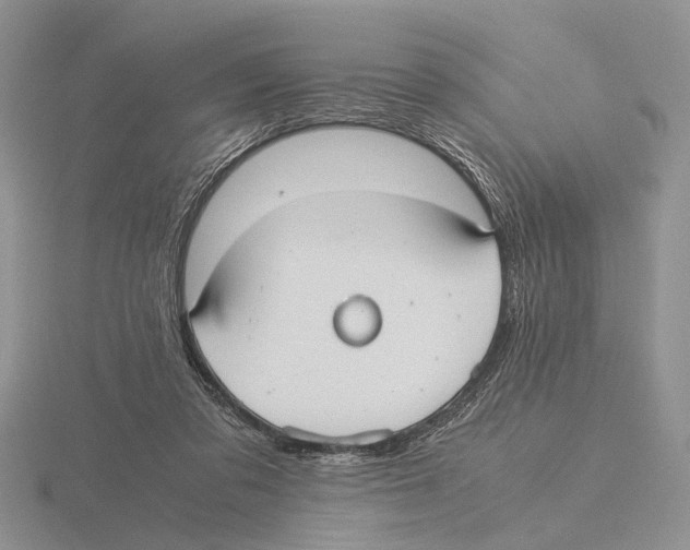 X0000115660309200912101057