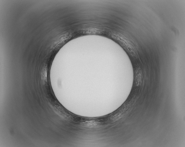 X0000115660310200912101057