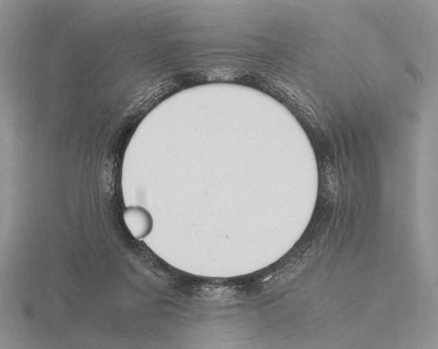 X0000115660311200912101057