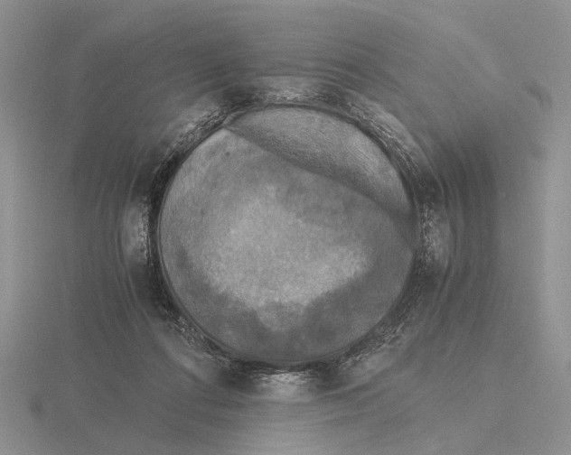 X0000115660312200912101057