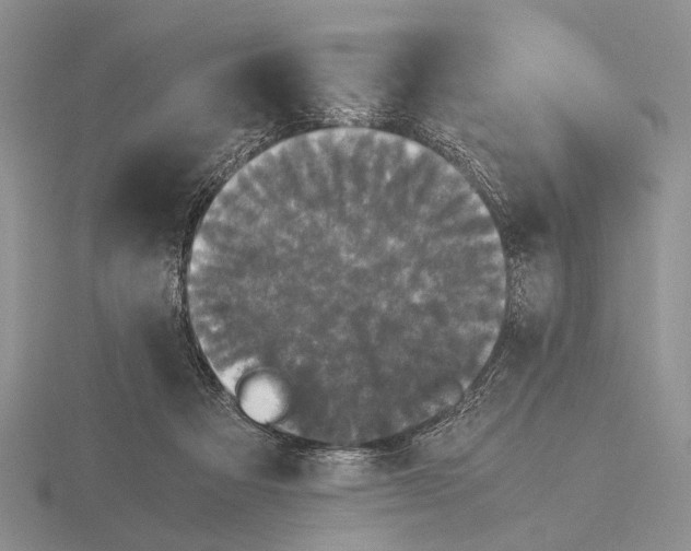 X0000115660313200912101057